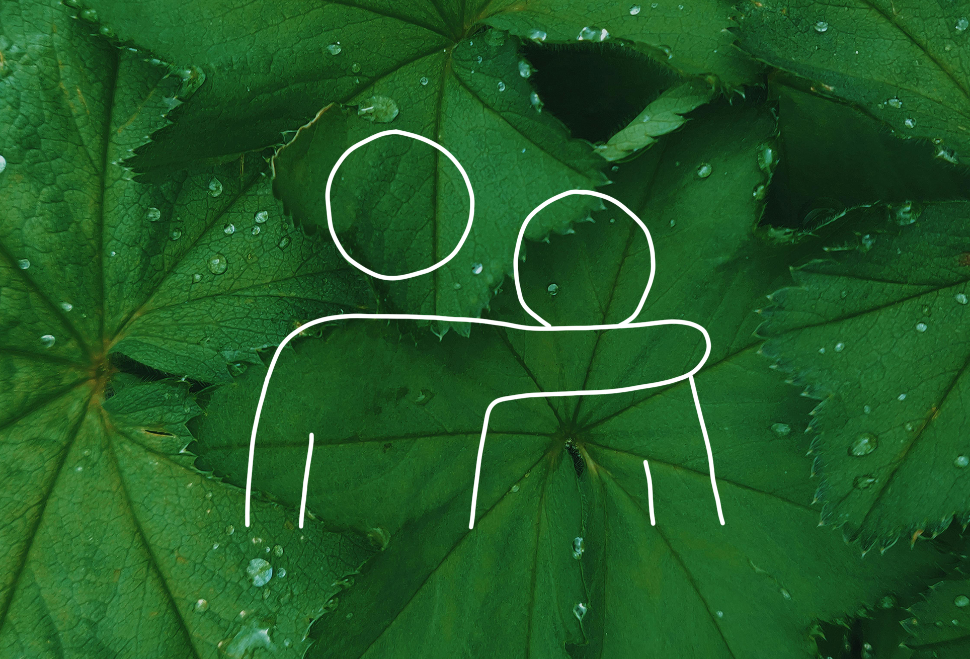 relationer